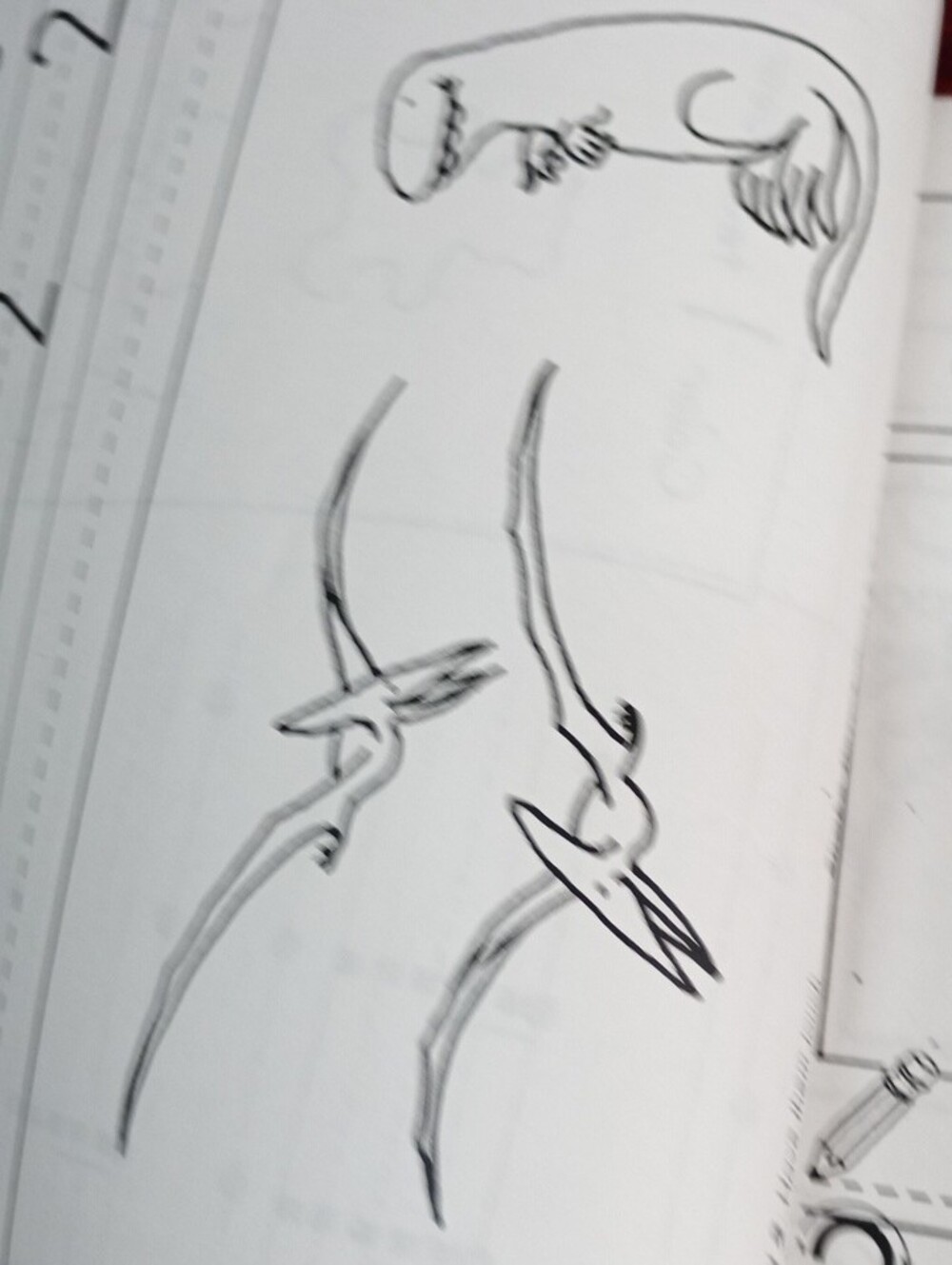Numbers Workbook . Practice . - Picture 7 of 16